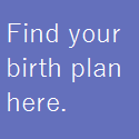 birthplan1